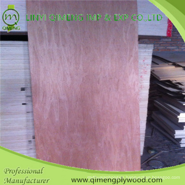 Poplar Core 2.7mm Bintangor Door Skin Plywood with High Quality